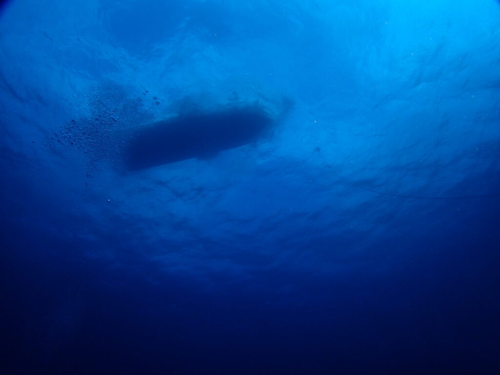 ｜西川名（房総）でダイビング｜ダイビングプロショップ パル｜2026/01/01