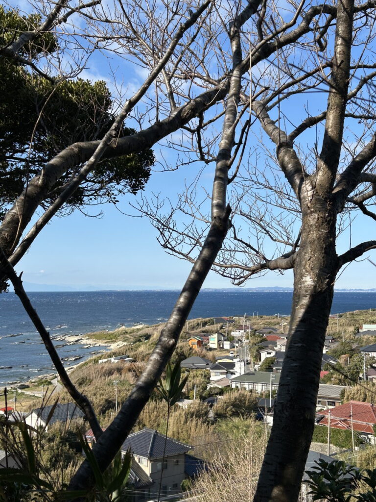 洲崎神社に初詣｜西川名（房総）でダイビング｜ダイビングプロショップ パル｜2026/01/01