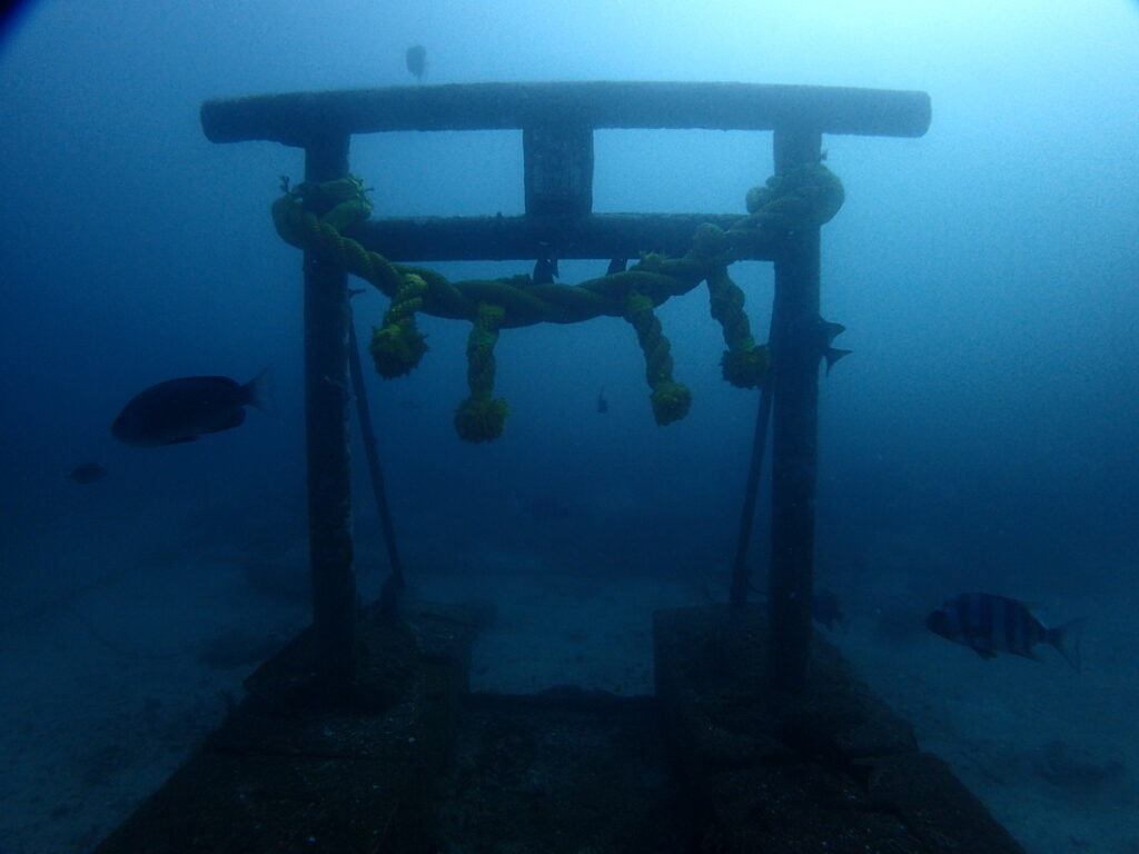 海中初詣｜波左間海中公園（房総）でダイビング｜ダイビングプロショップ パル｜2026/01/02