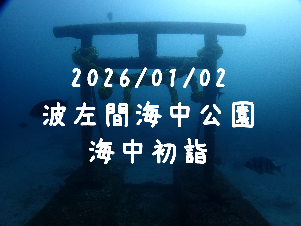 波左間海中初詣🎍（房総）｜2026/01/02