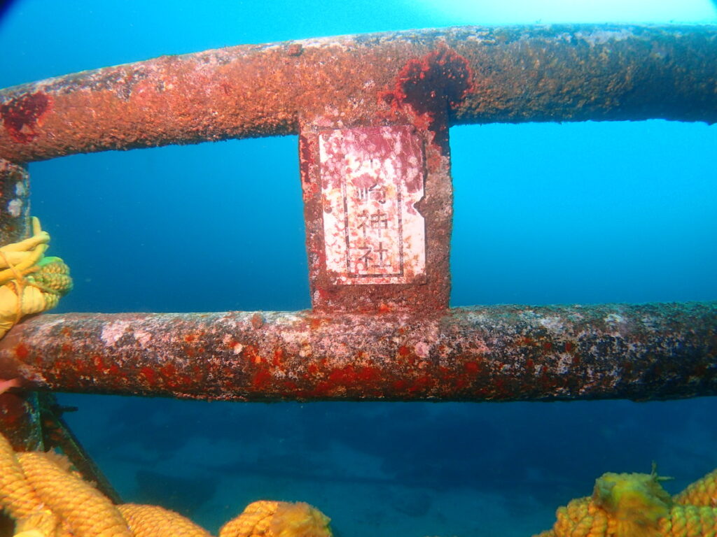 海中初詣｜波左間海中公園（房総）でダイビング｜ダイビングプロショップ パル｜2026/01/02