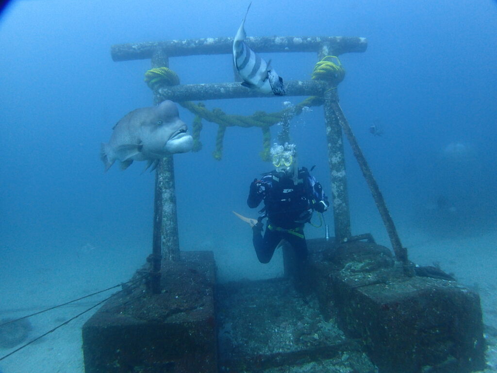 海中初詣｜波左間海中公園（房総）でダイビング｜ダイビングプロショップ パル｜2026/01/02
