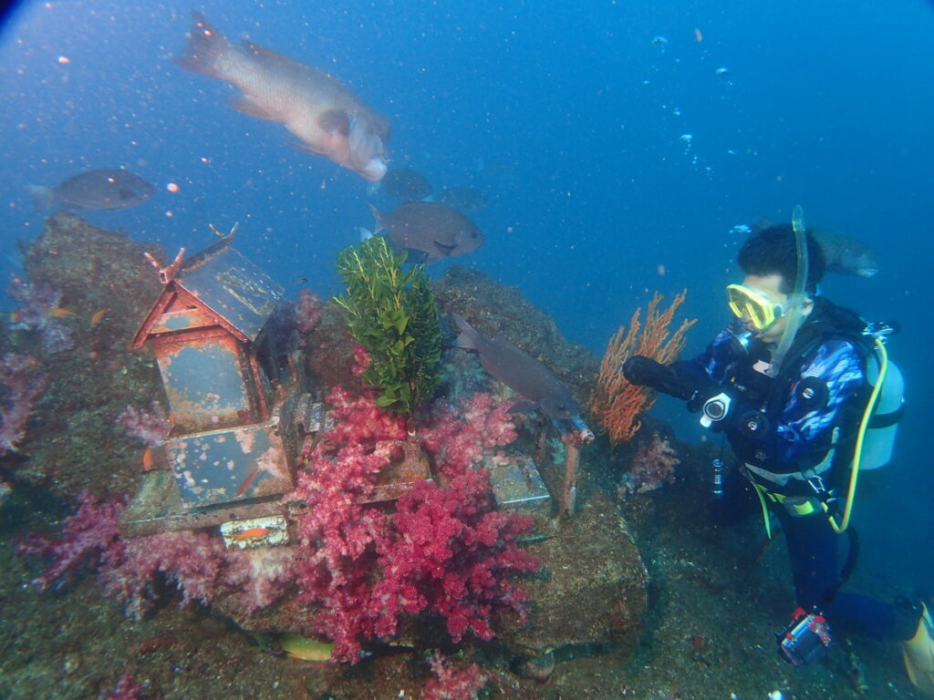 海中初詣｜波左間海中公園（房総）でダイビング｜ダイビングプロショップ パル｜2026/01/02
