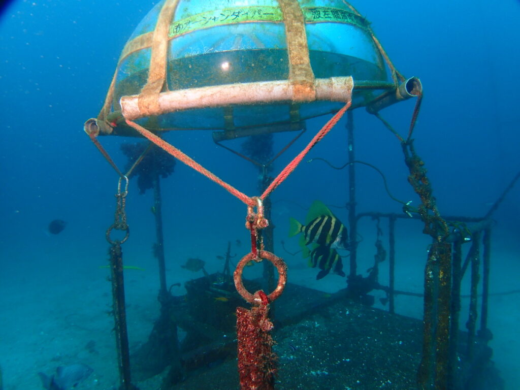 水中ドーム｜波左間海中公園（房総）でダイビング｜ダイビングプロショップ パル｜2026/01/02