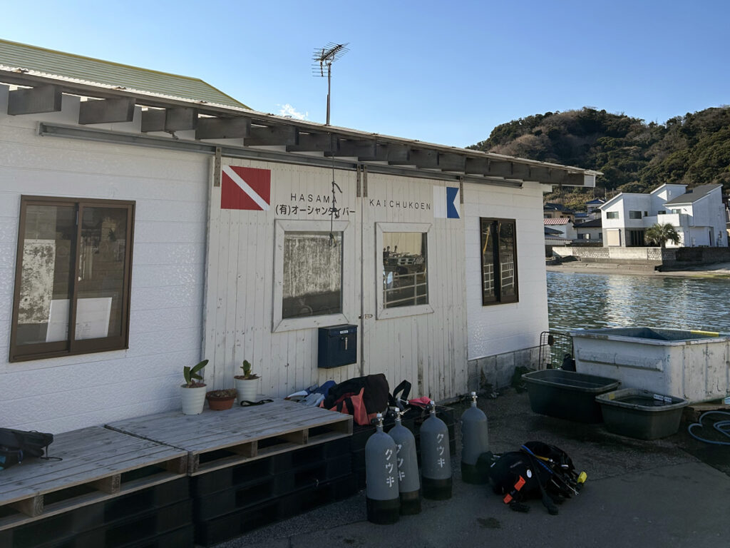 ｜波左間海中公園（房総）でダイビング｜ダイビングプロショップ パル｜2026/01/02