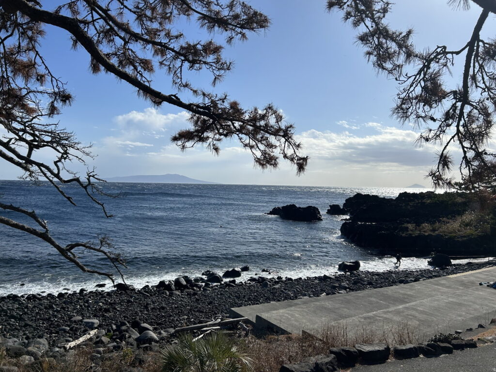 ｜伊豆海洋公園（東伊豆）でダイビング｜ダイビングプロショップ パル｜2026/01/11