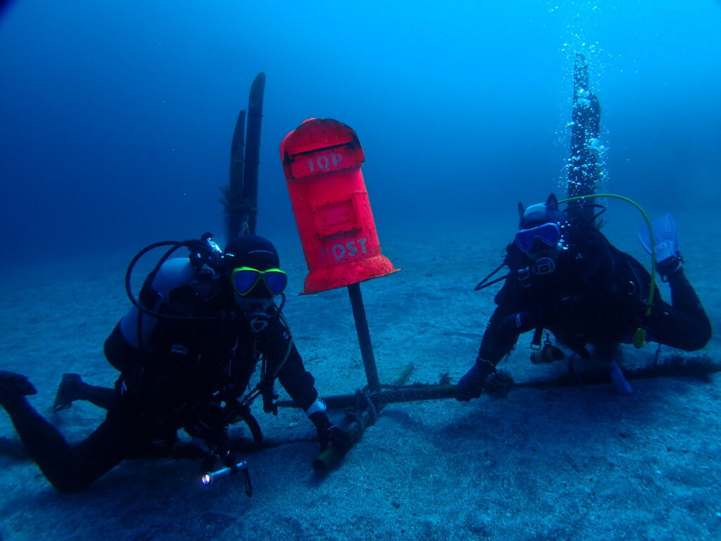 ｜伊豆海洋公園（東伊豆）でダイビング｜ダイビングプロショップ パル｜2026/01/11