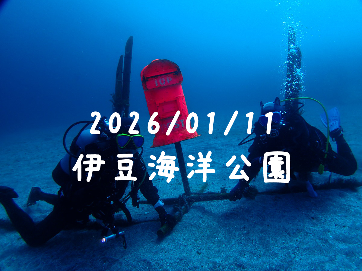 伊豆海洋公園（東伊豆）｜2026/01/11