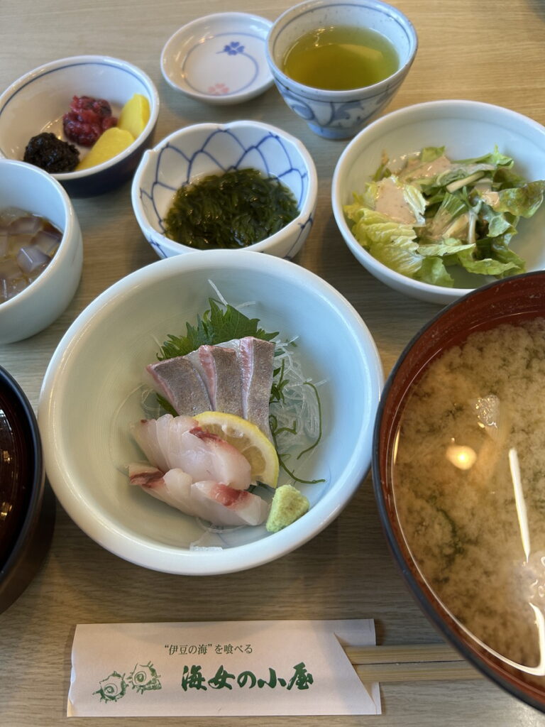 ｜伊豆海洋公園（東伊豆）でダイビング｜ダイビングプロショップ パル｜2026/01/11