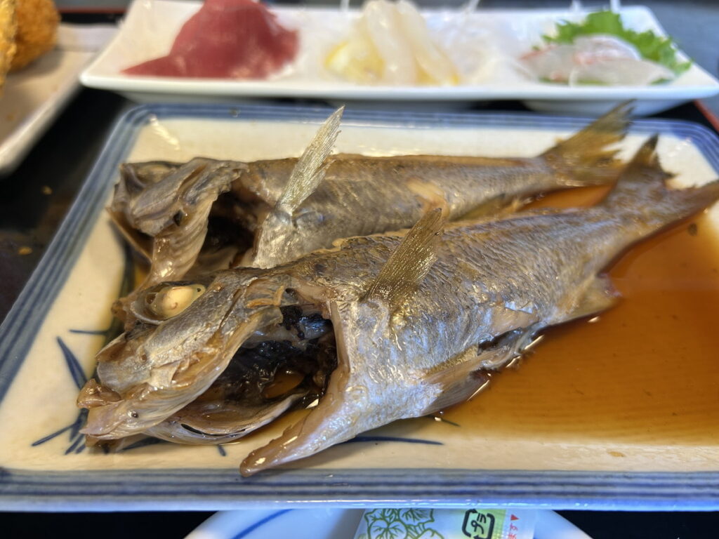 ムツ｜かっちゃま（房総）｜ダイビングプロショップ パル｜2026/02/01