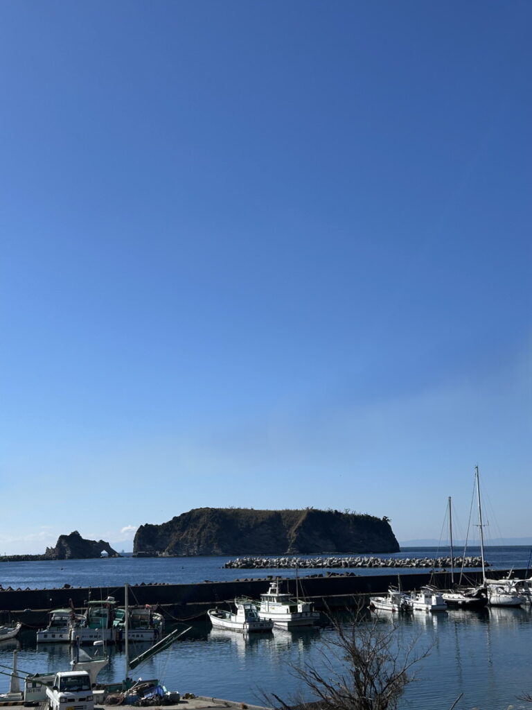 浮島｜かっちゃま（房総）｜ダイビングプロショップ パル｜2026/02/01