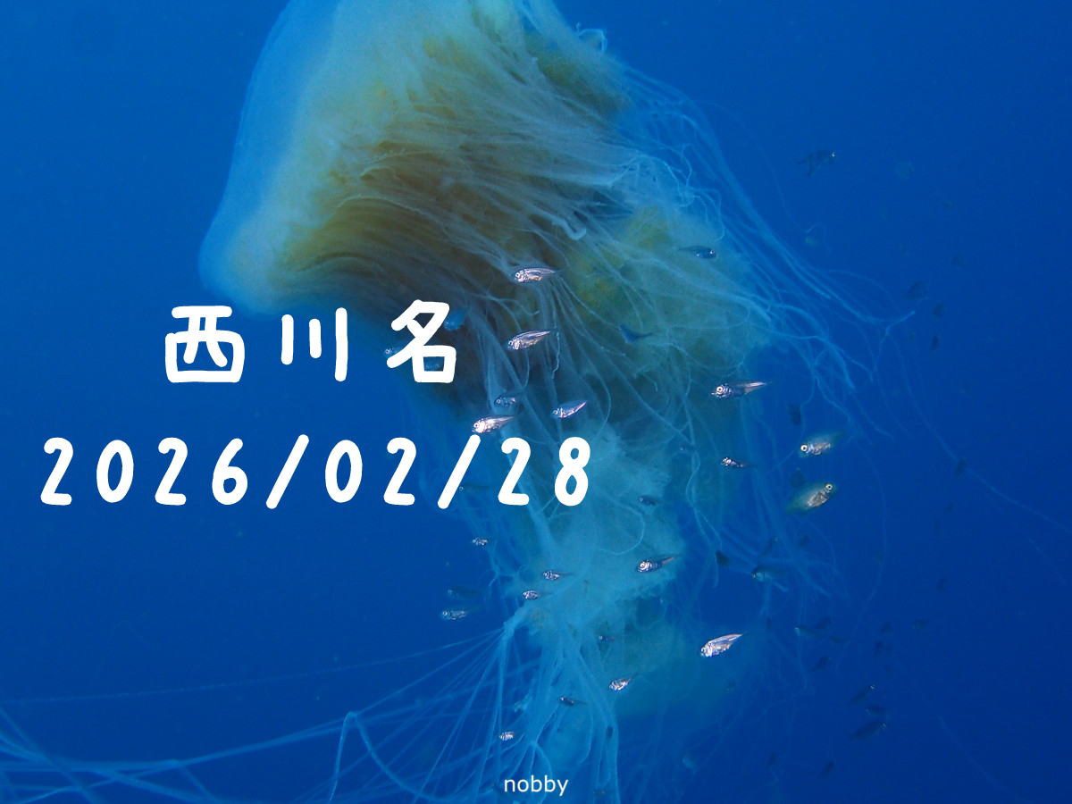 西川名（房総）｜2026/02/28